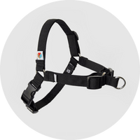 Linden No Pull Dog Harness