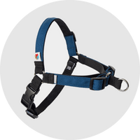 Linden No Pull Dog Harness