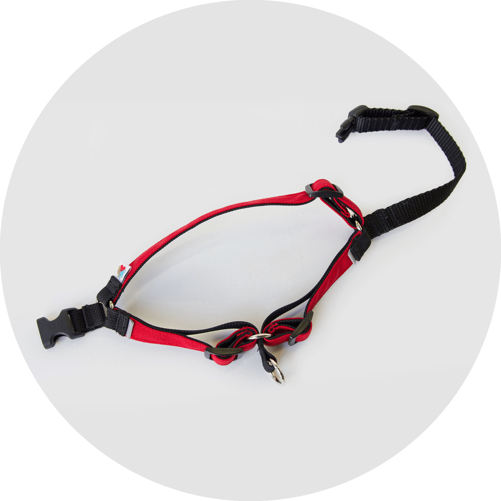 Good Dog Harness & Leash