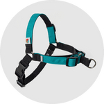 Linden No Pull Dog Harness/Color-Turquoise