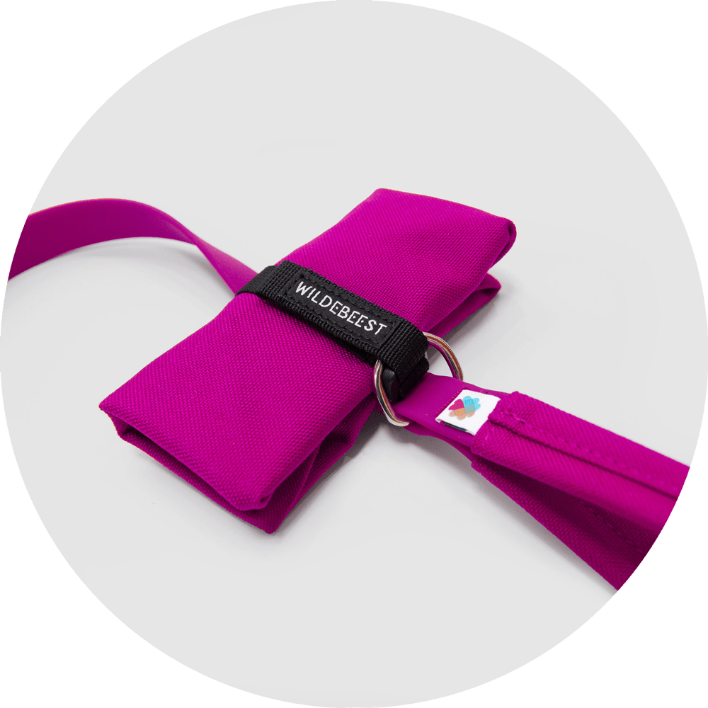 Montara Pop-Up Dog Bowl/Color-Fuchsia