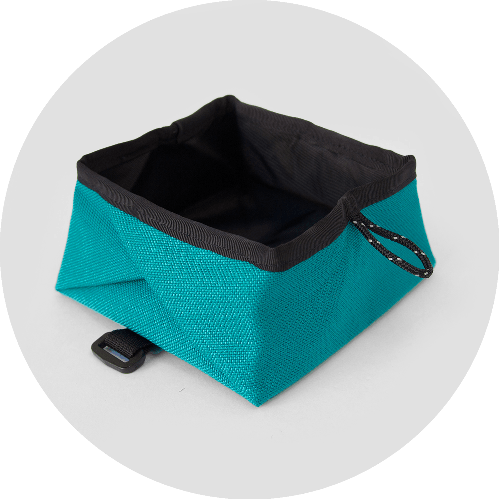 Montara Pop-Up Dog Bowl/Color-Turquoise