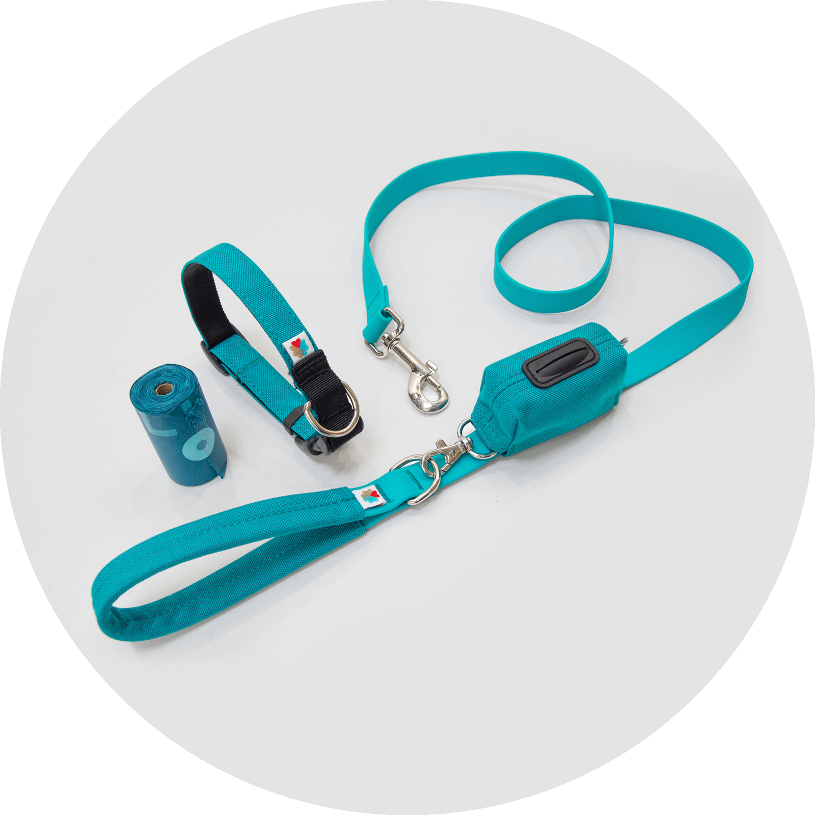 Funston Dog Starter Kit/Color-Turquoise