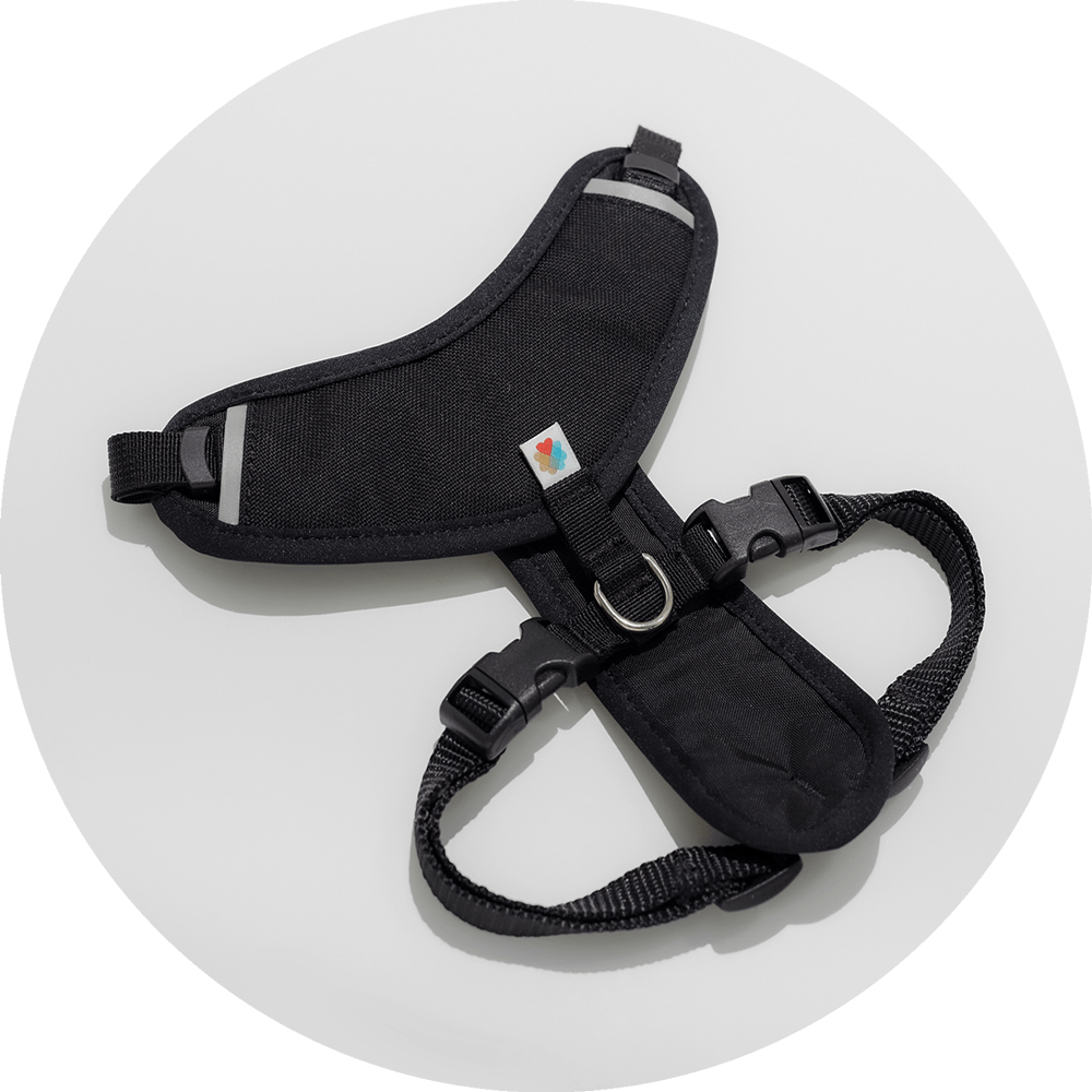 Sutro Snug Fit Dog Harness/Color-Black