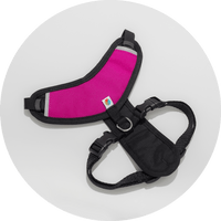 Sutro Snug Fit Dog Harness