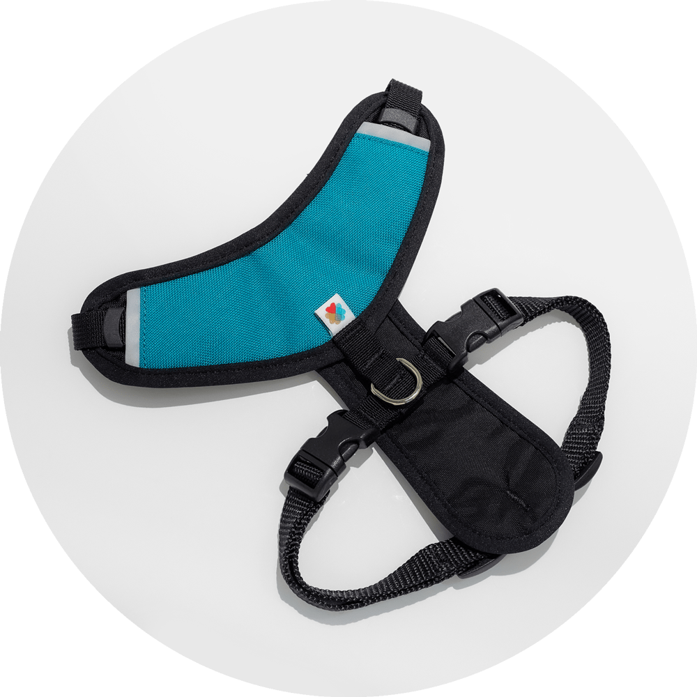 Sutro Snug Fit Dog Harness/Color-Turquoise